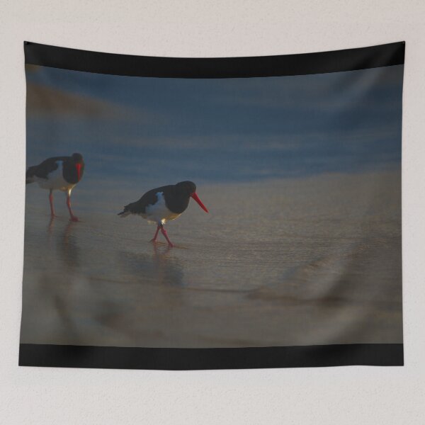 Item preview, Two Pied Oyster Catchers designed and sold by Jason Gilbert.
