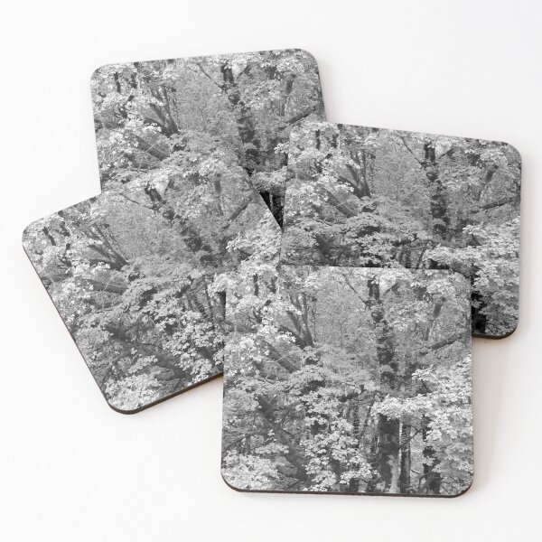 Item preview, TREE IN BLACK AND WHITE designed and sold by Elaine Bawden.