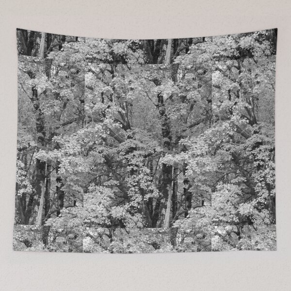 Item preview, TREE IN BLACK AND WHITE designed and sold by Elaine Bawden.