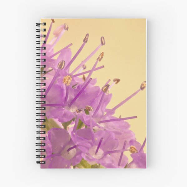 Item preview, Campanella Flower Macro designed and sold by Sandra Foster.