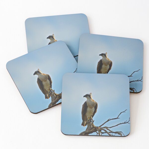 Item preview, An Osprey Perched High Looking Into The Wind designed and sold by Jason Gilbert.