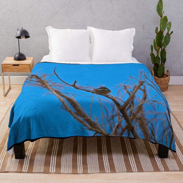Item preview, A Little Rufous Whistler Staring Down designed and sold by Jason Gilbert.