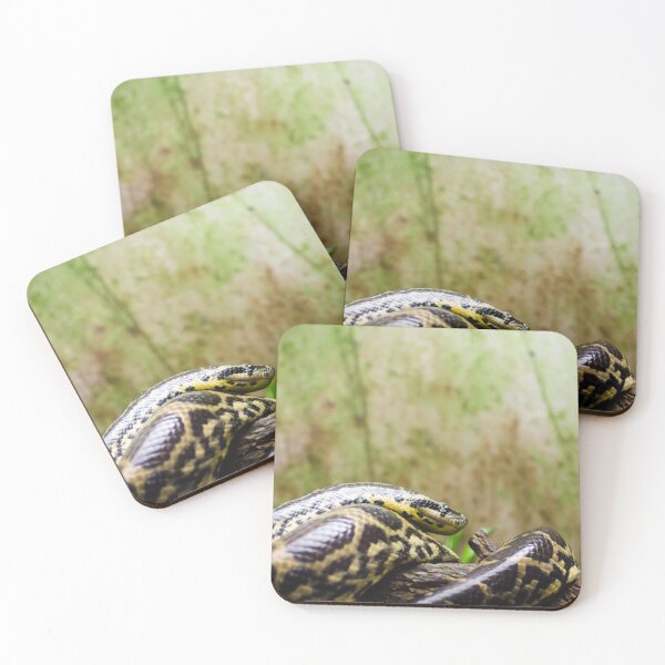 Item preview, poisonous and aggressive snake resting in the sun designed and sold by tartaruga1988.