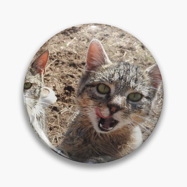 Item preview,  hungry cats, asking for milk--top of the food chain designed and sold by Stephanie  Skeem.