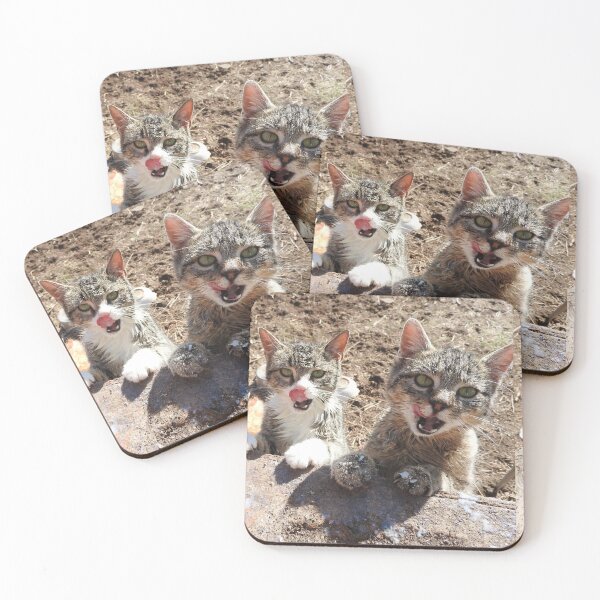 Item preview,  hungry cats, asking for milk--top of the food chain designed and sold by Stephanie  Skeem.