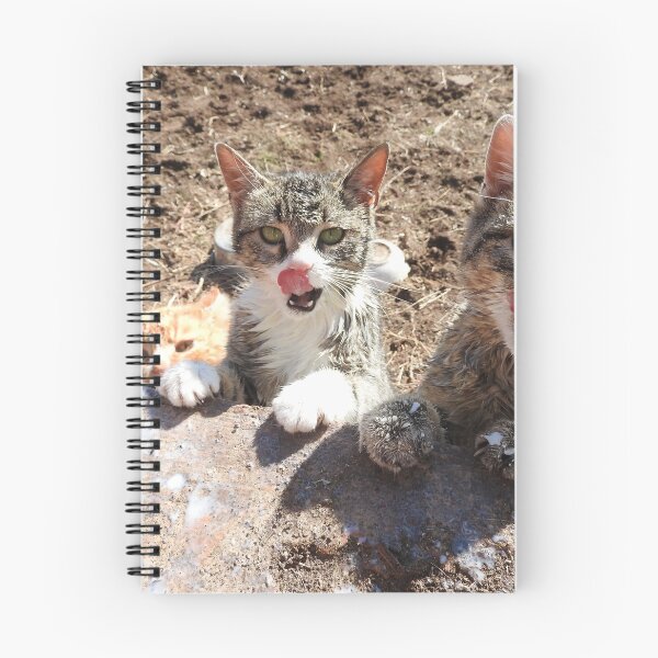 Item preview,  hungry cats, asking for milk--top of the food chain designed and sold by Stephanie  Skeem.