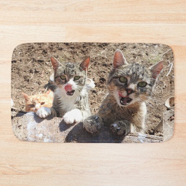 Item preview,  hungry cats, asking for milk--top of the food chain designed and sold by Stephanie  Skeem.
