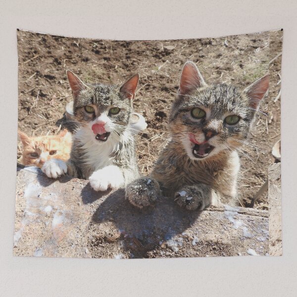 Item preview,  hungry cats, asking for milk--top of the food chain designed and sold by Stephanie  Skeem.