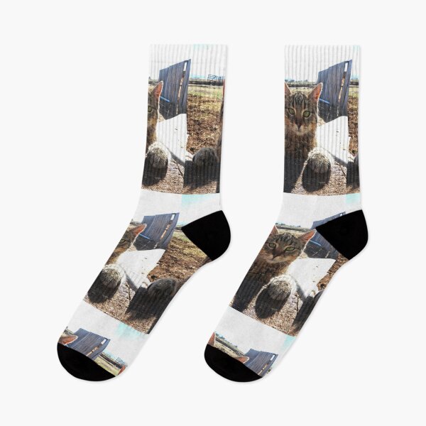 Item preview, green eyed farm cat waiting for milk designed and sold by Stephanie  Skeem.