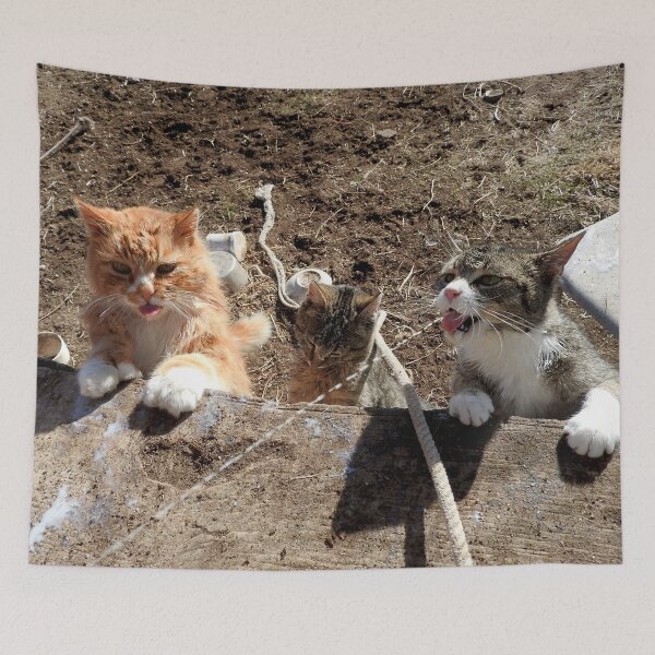 Item preview, farm cat getting breakfast designed and sold by Stephanie  Skeem.
