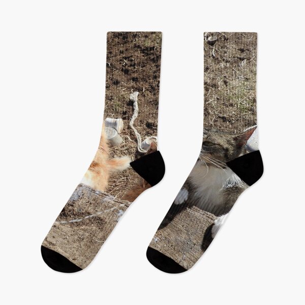 Item preview, farm cat getting breakfast designed and sold by Stephanie  Skeem.