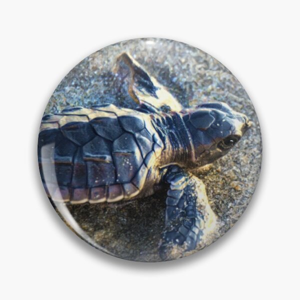 Item preview, Sea Turtle Baby designed and sold by Heathermarie321.