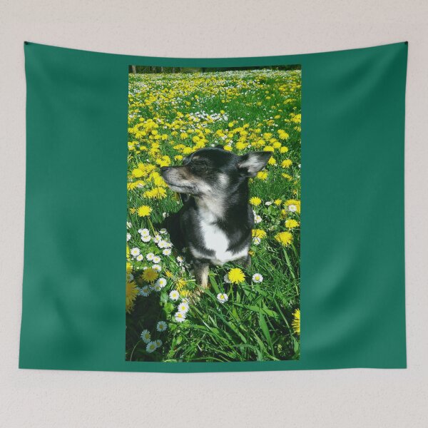 Item preview, Lolly Pop Chihuahua in a field of dandelions and tiny daisies. designed and sold by Susiegmusic.