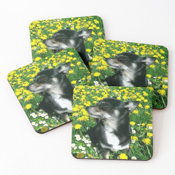 Item preview, Lolly Pop Chihuahua in a field of dandelions and tiny daisies. designed and sold by Susiegmusic.