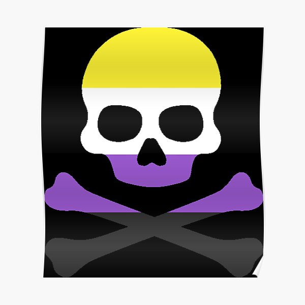 Pirate Jolly Rodger In Nonbinary Pride Flag Colors Poster For Sale By Caelanpride Redbubble 0906