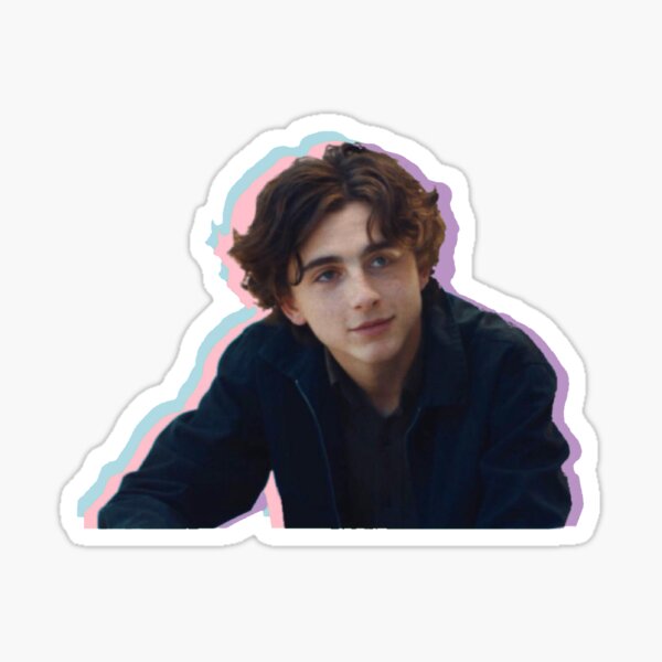 Timothee Chalamet Pastel Aesthetic Sticker