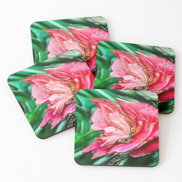 Item preview, Waxed designed and sold by Jodie Cooper.