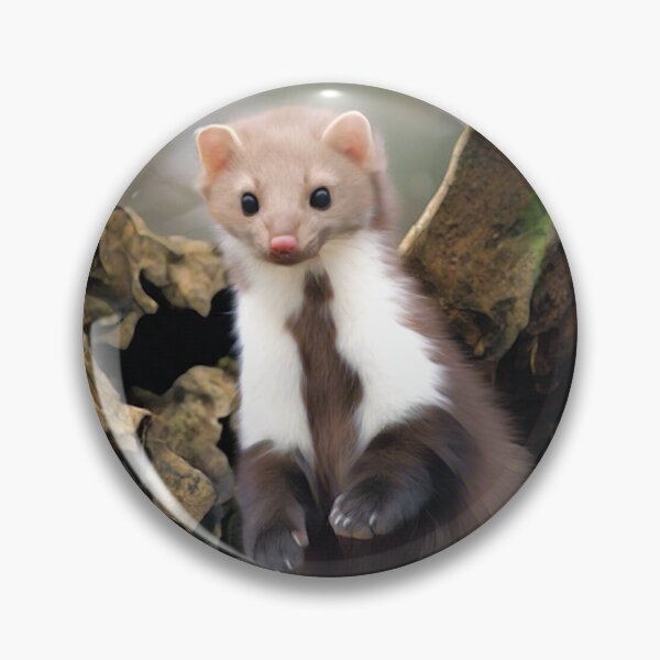 Item preview, Ferret  designed and sold by Heathermarie321.
