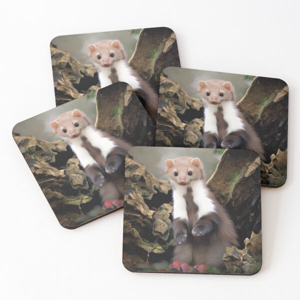 Item preview, Ferret  designed and sold by Heathermarie321.