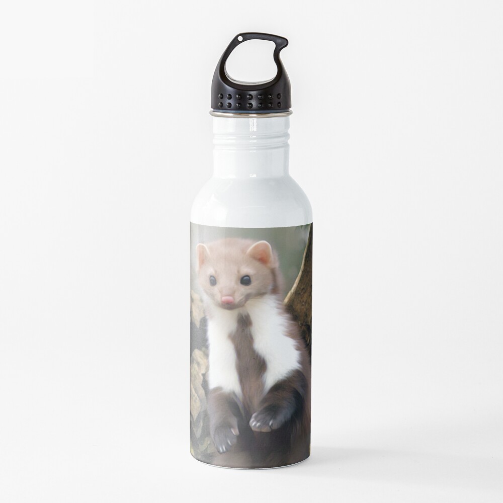 ferret water bottle