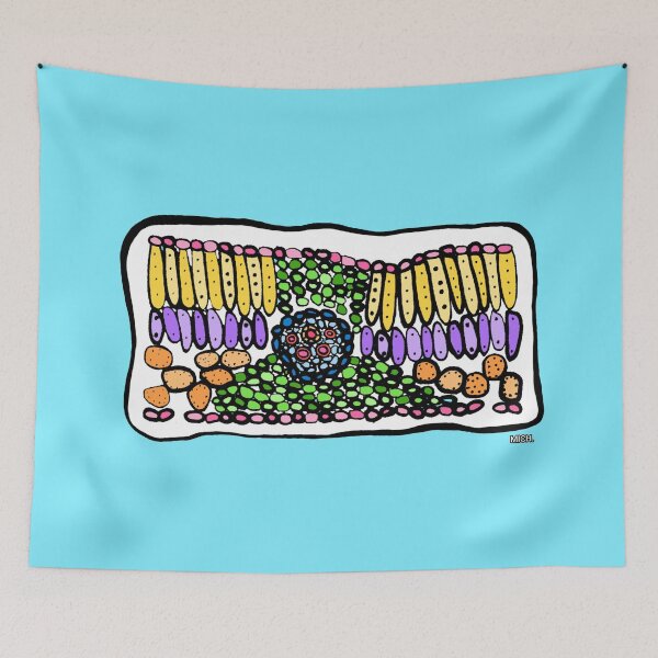 Item preview, LEAF X SECTION. designed and sold by doodlesbymich.