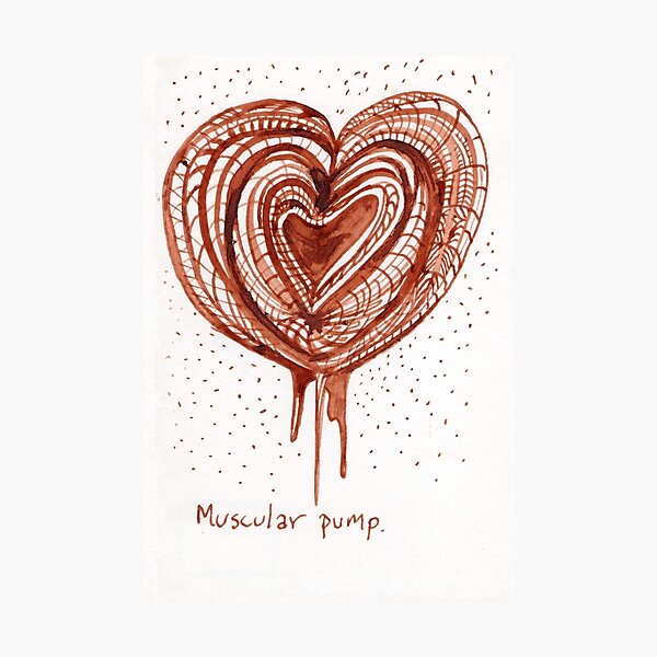 Muscular Pump (heart) drawing Photographic Print