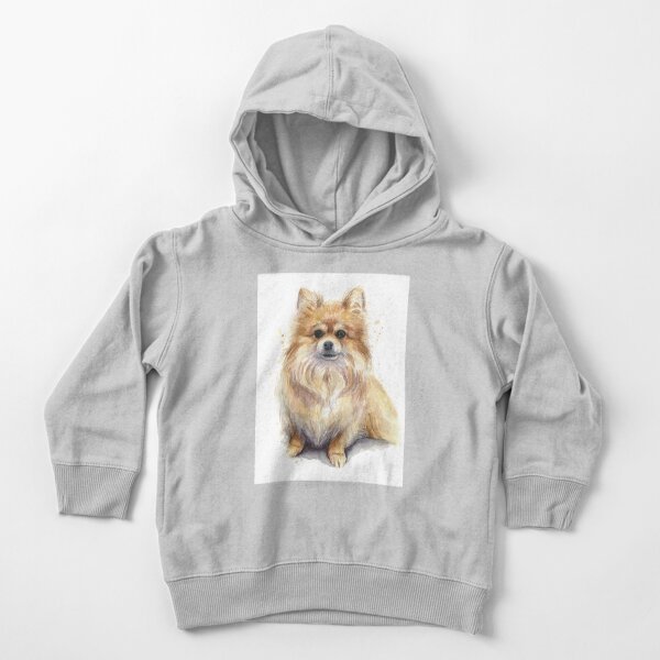 Sudadera Con Capucha Para Bebe Retrato Acuarela De Pomerania De Olga Shvartsur Redbubble