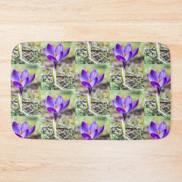 Item preview, Single purple saffron Crocus flower close up designed and sold by Grégory DUBUS.