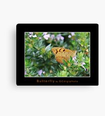 Butterfly Canvas Print