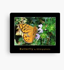 Butterfly Canvas Print