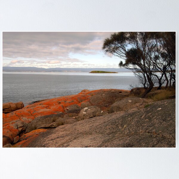 Item preview, Early morning Coles Bay, Freycinet, Tasmania designed and sold by Richard  Stanley.