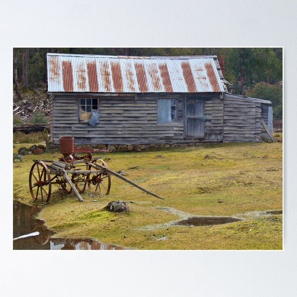 Item preview, No-one home designed and sold by MiksPics.