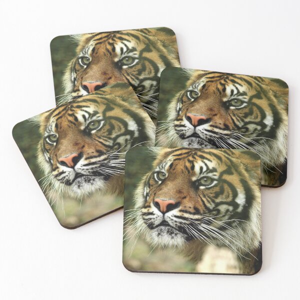 Item preview, Tiger designed and sold by joelle Guillaume.