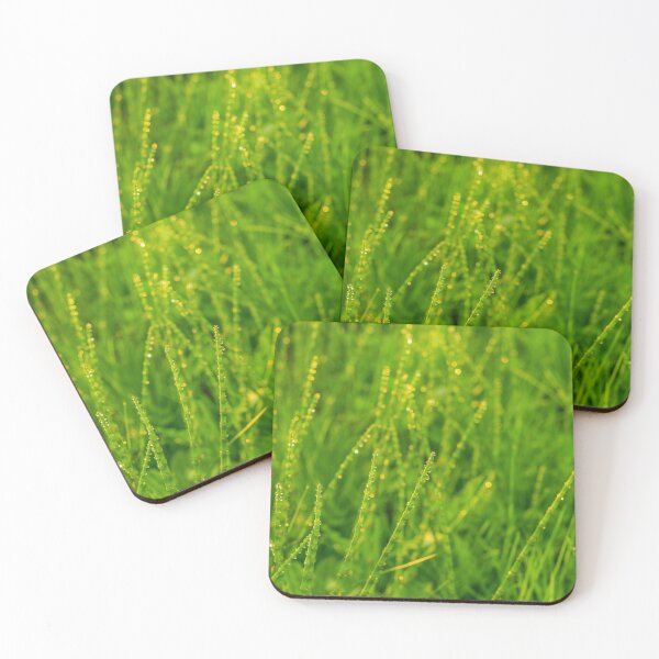 Item preview, Horsetail in morning dew drops designed and sold by yarvin13.