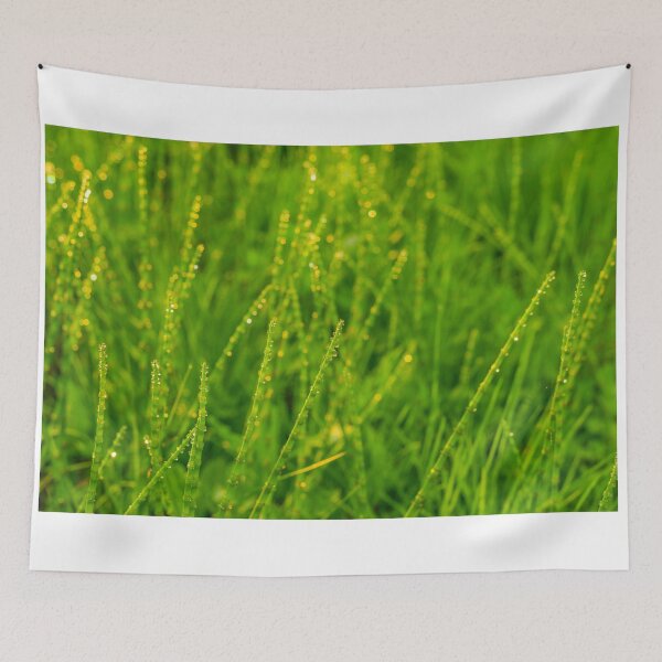 Item preview, Horsetail in morning dew drops designed and sold by yarvin13.