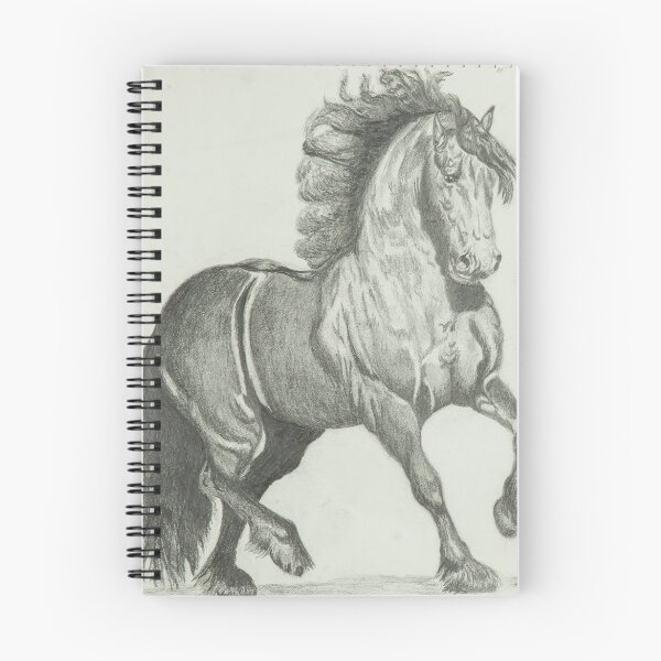 Item preview, Elite dance designed and sold by The Painted Pony.