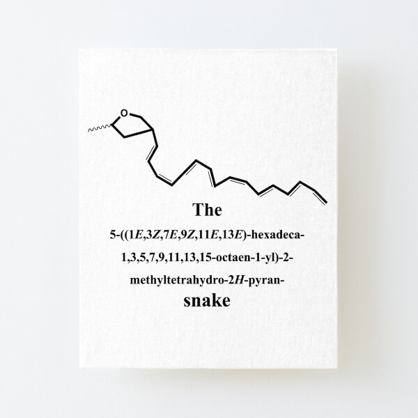 lustige Schlange - snake - Chemie - IUPAC - black Aufgezogener Druck auf Leinwandkarton