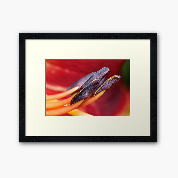 Item preview, Stamens designed and sold by Andi Surjanto.