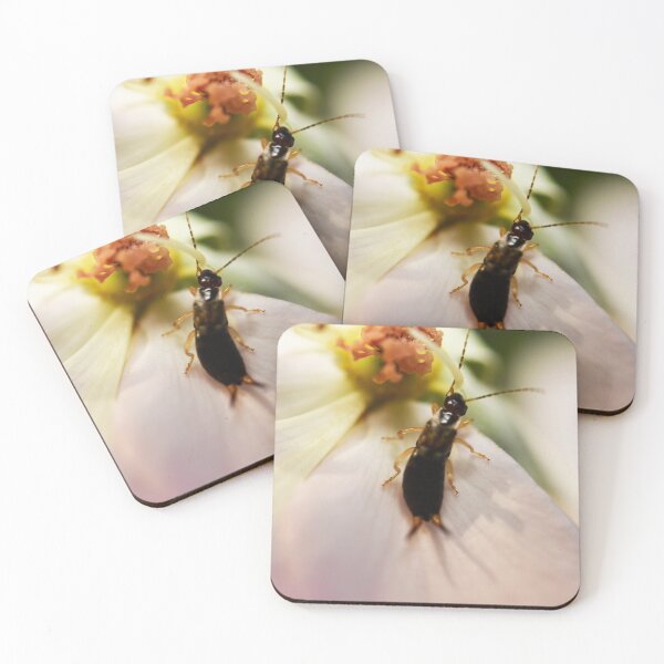 Item preview, Earwig Exploring on a Flower designed and sold by imaginethis.