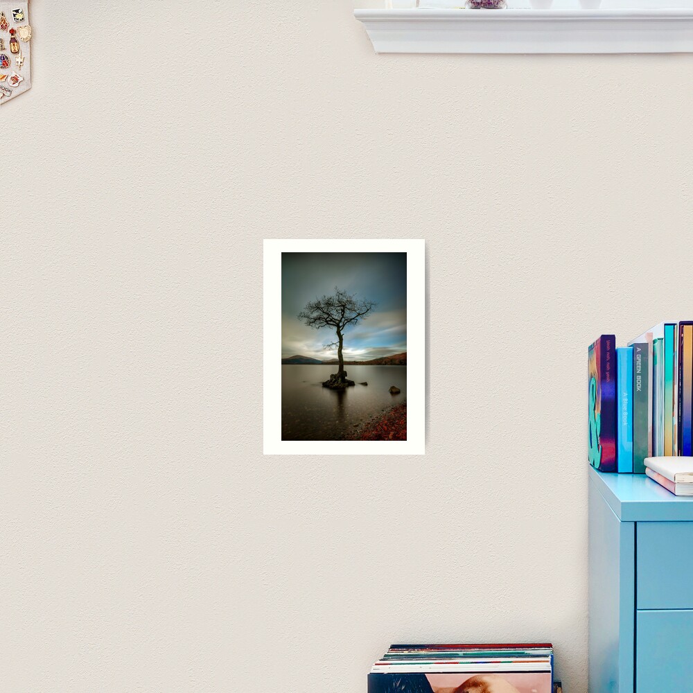 Milarrochy Tree (1) Art Print
