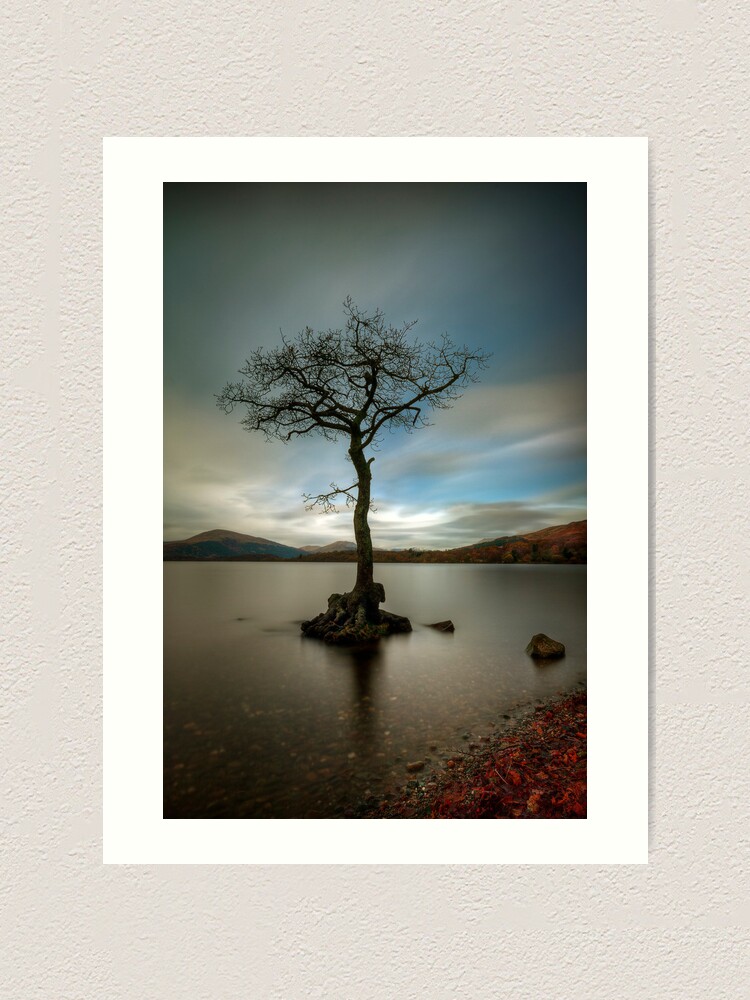 Alternate view of Milarrochy Tree (1) Art Print