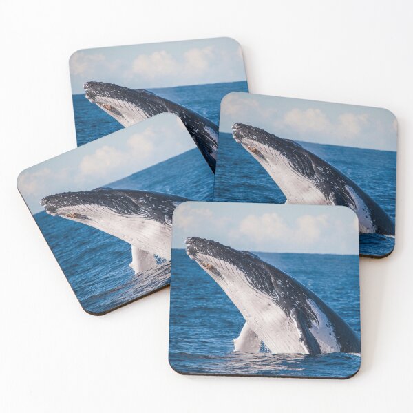 Item preview, Humpback whale designed and sold by damnrightmyfoto.