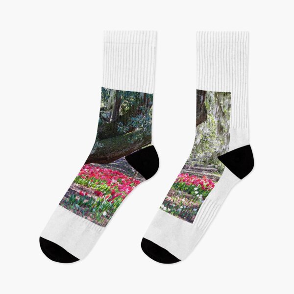Item preview, Tulips Under Live Oaks designed and sold by Cynthia48.