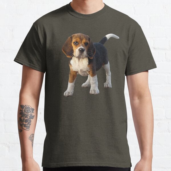 beagle hunting clothes