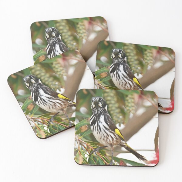 Item preview, Yellow Winged Honeyeater  designed and sold by imaginethis.