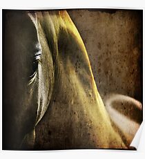 the look Poster