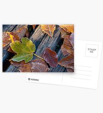 On the ground Postcards