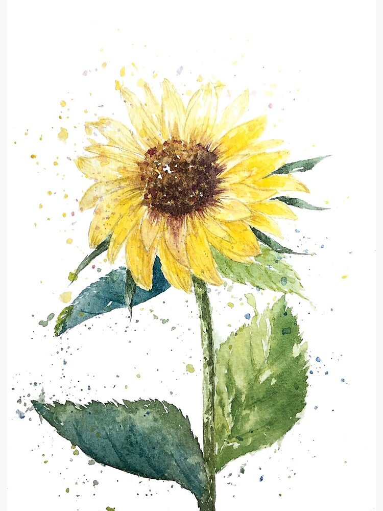 Sunflower Watercolor" Art Board Print By Xuyfxuyf | Redbubble