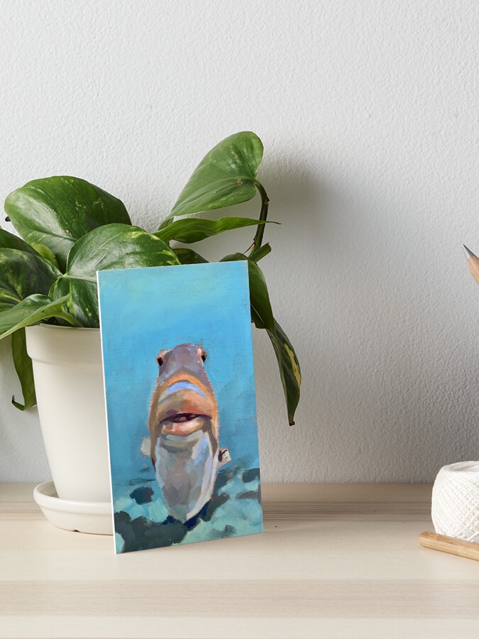 Staring Fish | Art Board Print