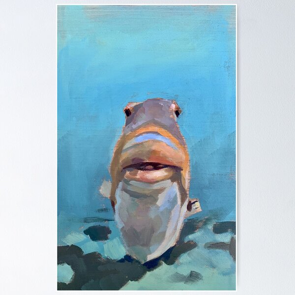 Staring Fish iPhone Case for Sale by Pwalk3430